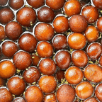 Best Gulab Jamun in Athens, GA